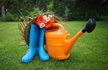 Как оформить личное подсобное хозяйство